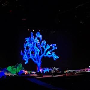 Meet your Posher, Angie